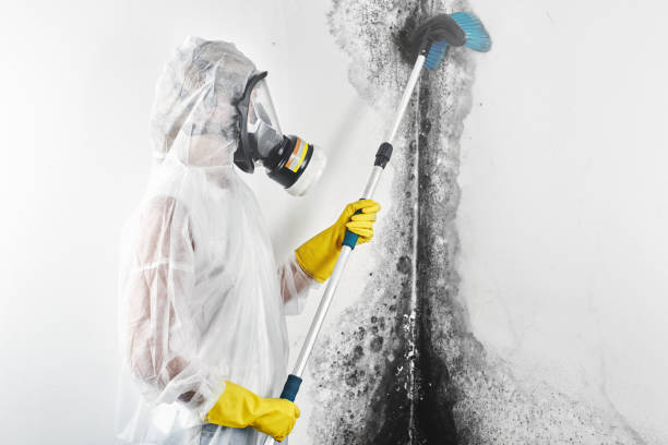Best Post-Remediation Verification Testing  in Montgomery, WV