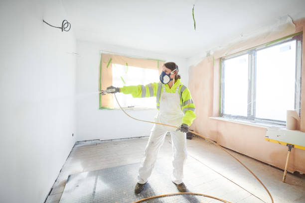 Best Mold Damage Restoration  in Montgomery, WV