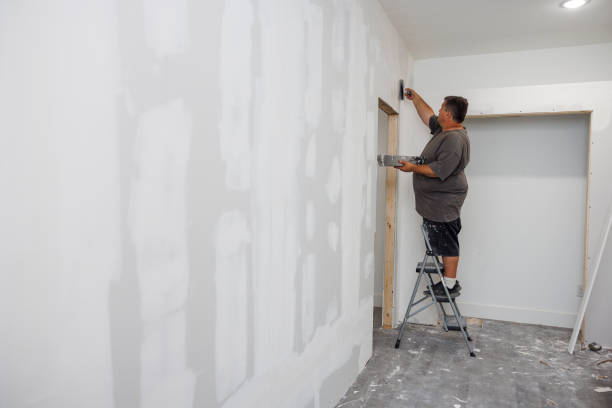 Professional Mold Removal in Montgomery, WV