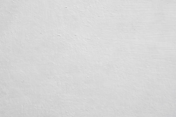 Best Attic Mold Removal  in Montgomery, WV