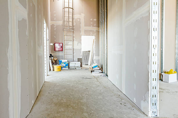 Best Biohazard Mold Removal  in Montgomery, WV