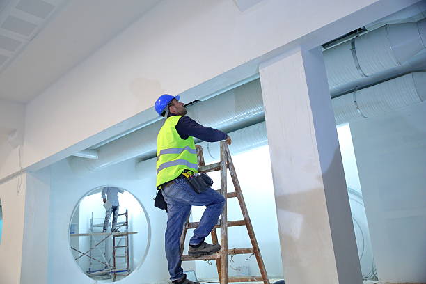 Best Mold Documentation for Insurance Claims  in Montgomery, WV